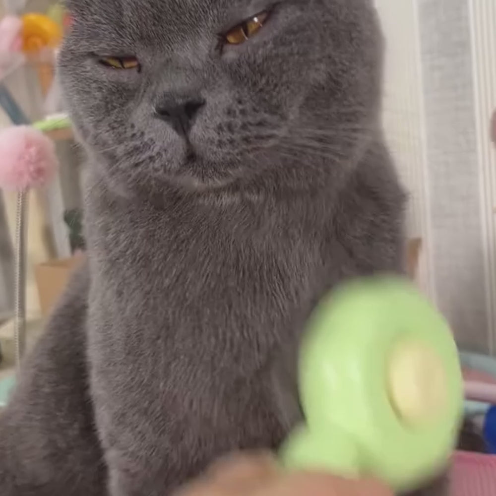 Hair Cleaner Brush For Cats & Dogs – With Release Button.